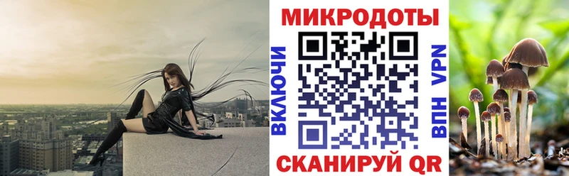 Галлюциногенные грибы мухоморы  Фокино 